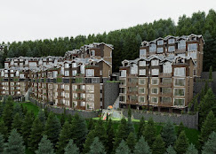 The Forest Chalet 1